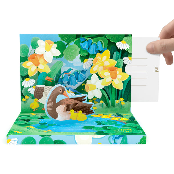 Nature's Symphony: The Ducklings
Interactive Pop - Up Music Card