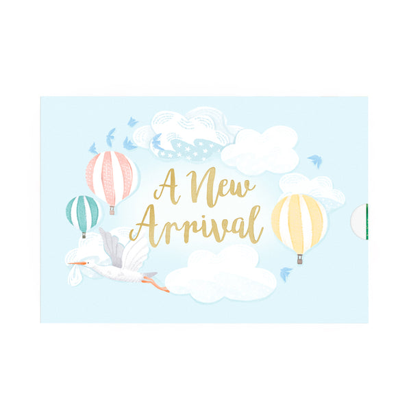 A New Arrival Stork Hot air Balloons